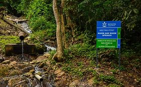 Ikogosi Warm Springs Resort